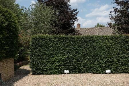 Two Rose Walk Cottage Cotswolds Moreton-in-Marsh Exterior foto